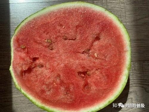 吃瓜者和生瓜者,吃瓜者与生瓜者的瓜界风云