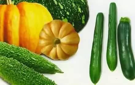 吃的什么瓜,品味生活百态