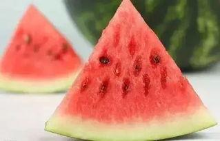 带你吃瓜冬天篇,带你领略冬季的美食盛宴