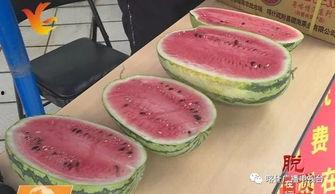 广州销售吃瓜,吃瓜文化背后的市场风云