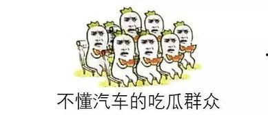 吃瓜群众如何评价,吃瓜群众视角下的热点事件点评