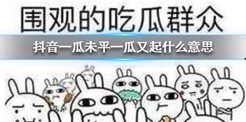 抖音吃瓜总部,热门事件背后的真相与幕后故事