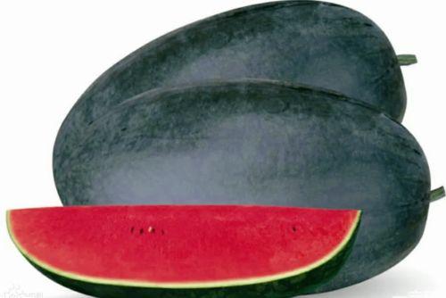 大庆市吃瓜,探寻油城夏日美食之旅