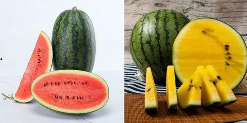 吃瓜的瓜西瓜,夏日消暑的甜蜜诱惑