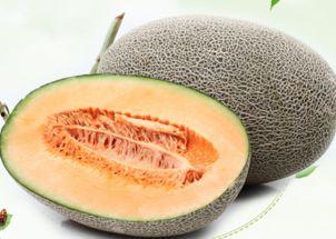 吃哈密瓜唱歌,甜蜜旋律中的瓜果情缘