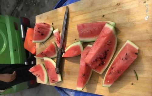 高街帝吃瓜,揭秘娱乐圈的吃瓜盛宴