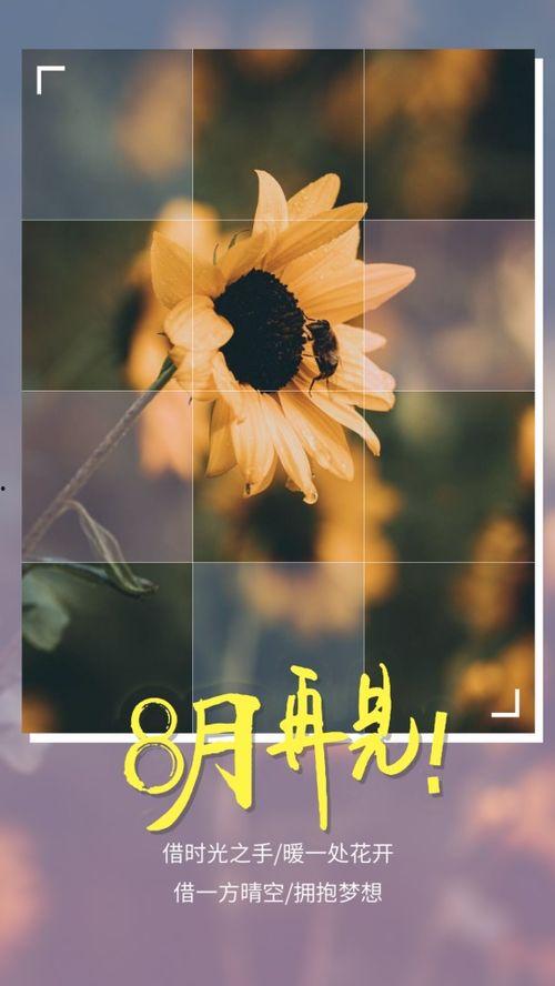 晚上吃籽瓜文案句子,甜蜜梦境中的清新滋味