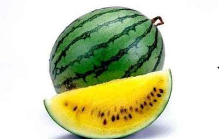 吃瓜速度哪个牌子最快,揭秘最快生成瓜子的品牌！”