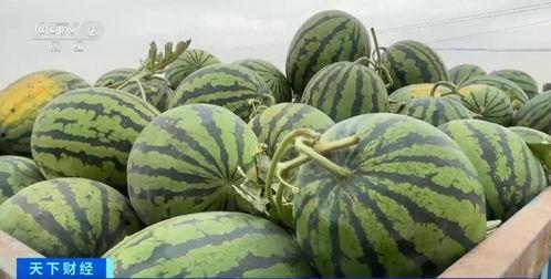 福华世家吃瓜视频,揭秘家族纷争背后的惊人真相