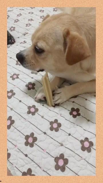 吃瓜吧嗒嘴,揭秘瓜类美食的独特魅力