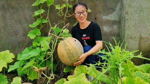 真实的清朝吃瓜