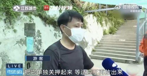 吃瓜网红男女,揭秘男女生态的甜蜜与争议