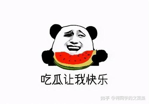 吃瓜群众免费吃瓜,全民共享欢乐时光
