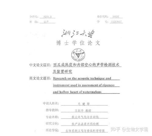 关于吃瓜的论文