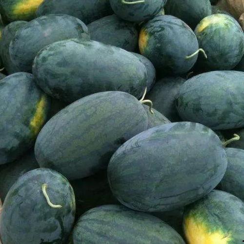 游玩吃瓜,品味人生百态