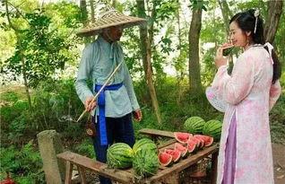 吃瓜赏影,揭秘娱乐圈幕后故事