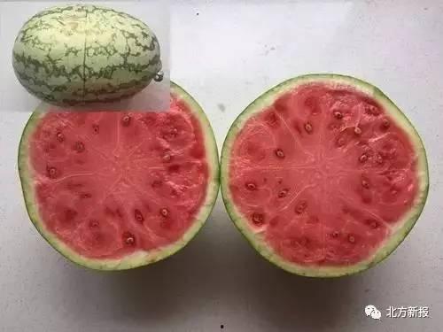 吃瓜内部,一场关于瓜果的狂欢盛宴