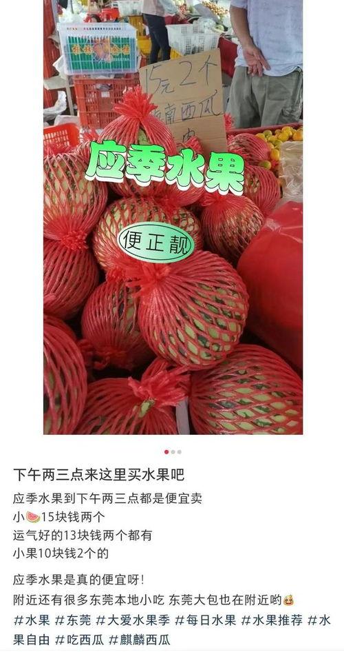 吃瓜东莞,吃瓜群众的视角看这座繁华之城