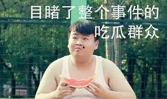 临别吃瓜后续,揭秘瓜界风云再起