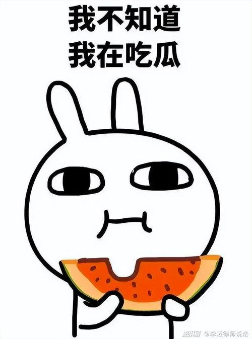 钟楼么哈吃瓜,揭秘城市生活里的趣味瞬间