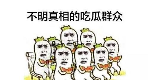 看热闹变吃瓜,网络舆论的演变与反思