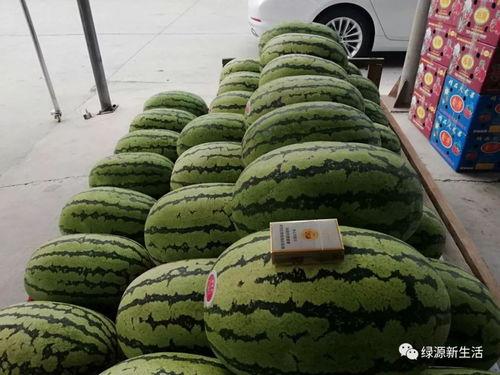 吃瓜品,吃瓜群众眼中的明星生活