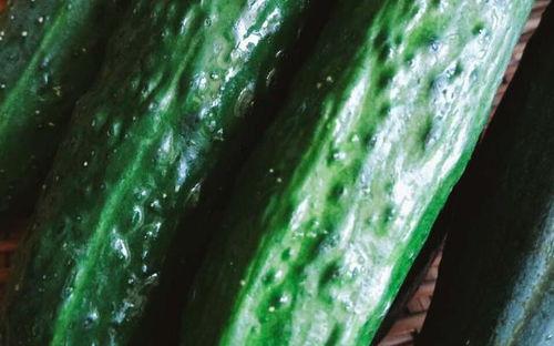 夏安吃瓜,揭秘娱乐圈的甜蜜与苦涩