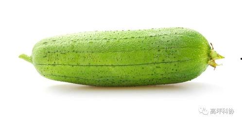 夏季可以吃的瓜,清凉解暑的夏季时令瓜类盘点