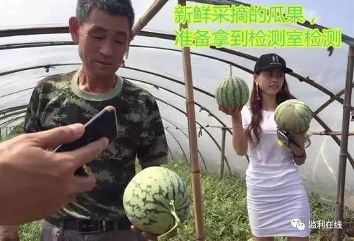 直播吃瓜群众回放