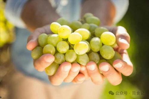 葡萄吃瓜网站,揭秘网络娱乐新潮流