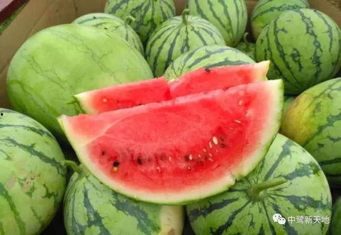 上迪吃瓜投稿5,揭秘娱乐圈幕后故事