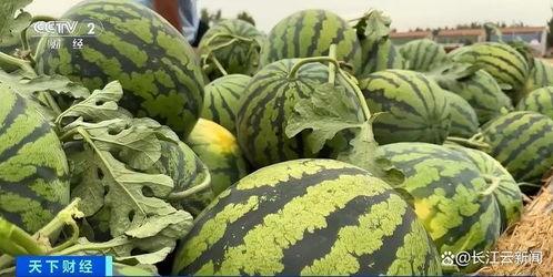 每日吃瓜热门,揭秘娱乐圈最新热点事件