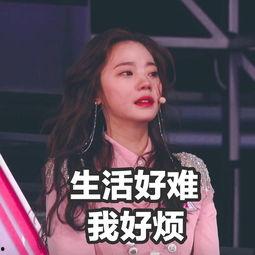 深夜吃瓜俱乐部,揭秘娱乐圈幕后故事