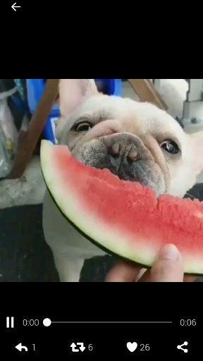 吃瓜群众聊天音频,趣味横生的日常对话集锦 第2张 吃瓜群众聊天音频,趣味横生的日常对话集锦 第2张