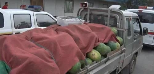 吃瓜被警察发现,一场意外的“瓜”界风云  第1张