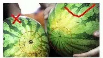 吃瓜独家秘笈作假,揭秘娱乐圈幕后真相 第2张 吃瓜独家秘笈作假,揭秘娱乐圈幕后真相 第2张