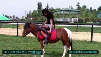 美女骑马吃瓜视频,悠闲吃瓜，诠释田园生活新风尚