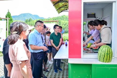 马山吃瓜大队,揭秘乡村里的“网红”现象  第1张