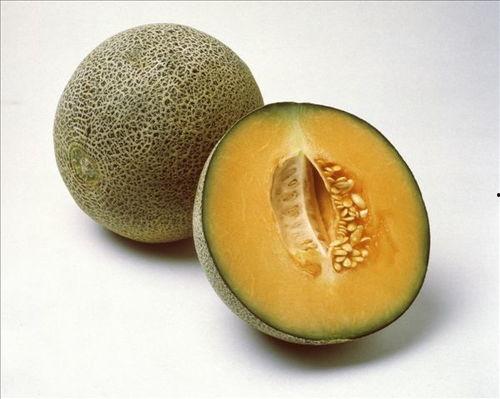 吃瓜趣味指南,趣味指南带你轻松解锁瓜界奥秘  第2张