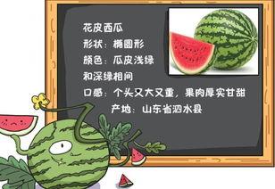 吃瓜产物阅读