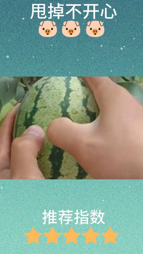 狗头君 吃瓜,揭秘娱乐圈那些不为人知的幕后故事  第1张