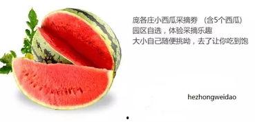 高瓜禾怎么吃  第2张